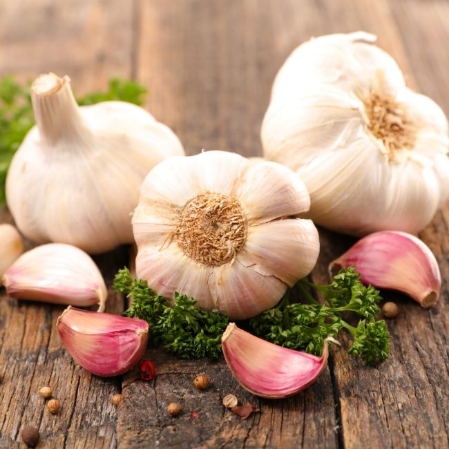 cesnak, strúčiky cesnaku