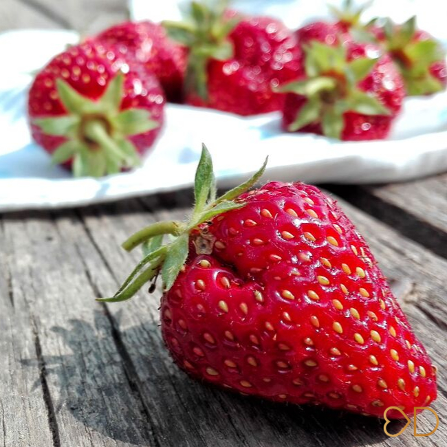 Čerstvé jahody. EasyDiet ukazuje, prečo sa netreba báť ovocia v krabičkovej diéte.