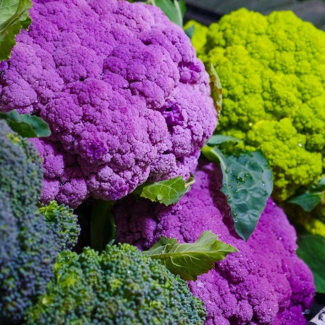 Najznámejšie druhy brokolice sú zelená, fialová a žltá