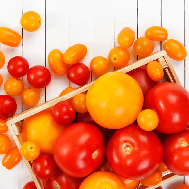Rôzne druhy malých a väčších paradajok v drevenej debničke
