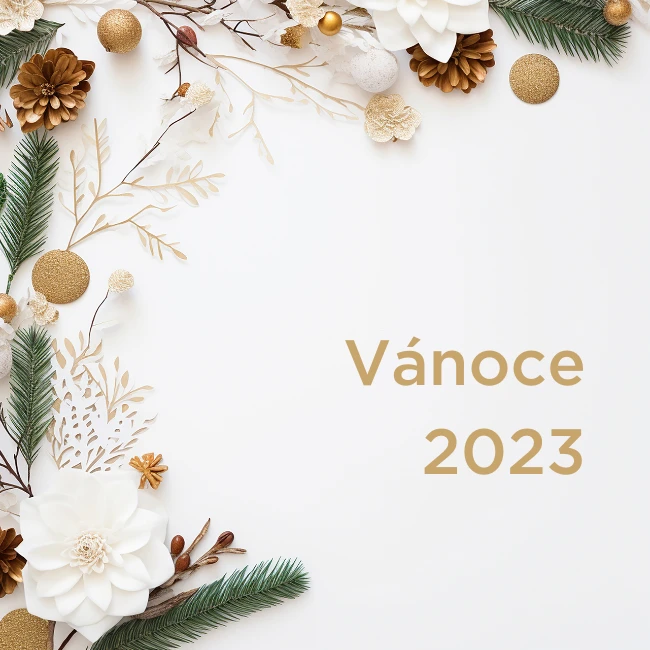 PF 2024 a vánoční rozvoz jídla od EasyDiet.