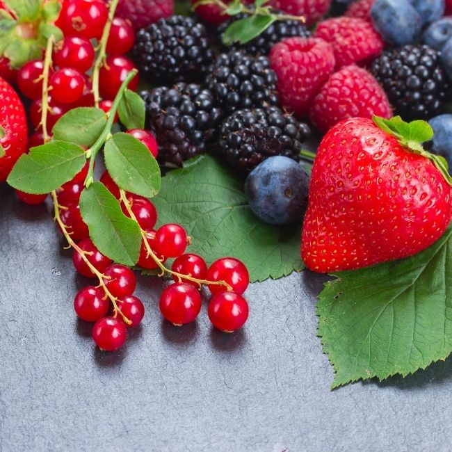jahody, černice, čučoriedky, ríbezle