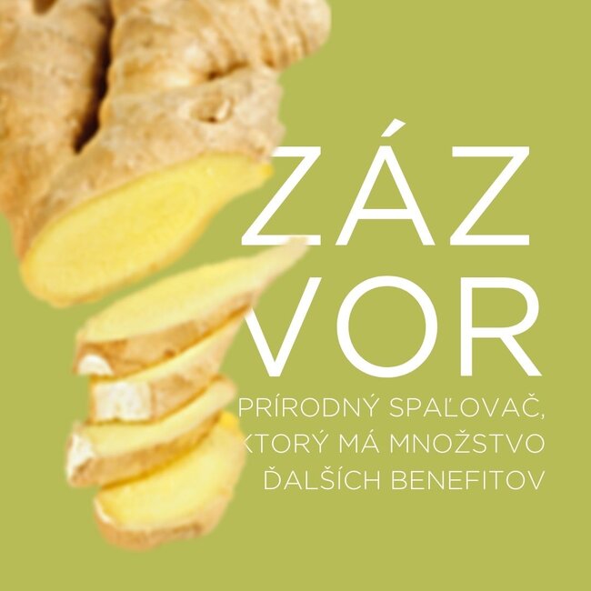 Tukožrút zázvor alebo ako schudnúť efektívne