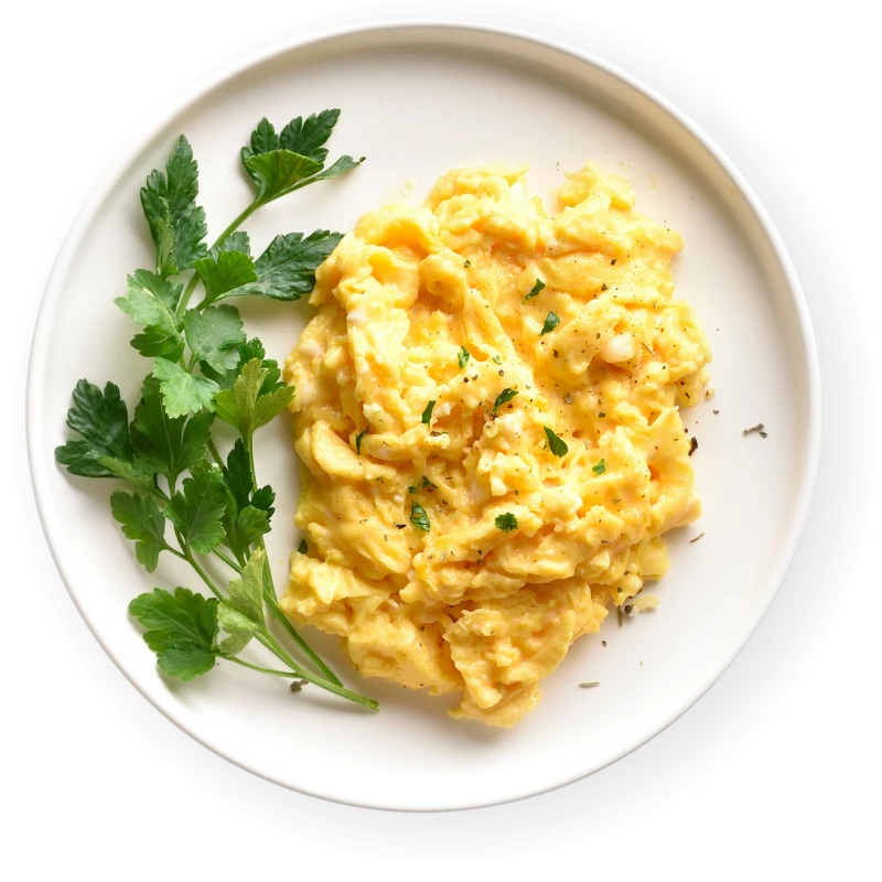 Fitness STARTER