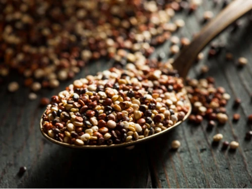 Quinoa – a Dél-Amerikai csoda. Ennek a szuperélelmiszernek a legnagyobb előnyei