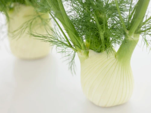 Dein Freund Fenchel