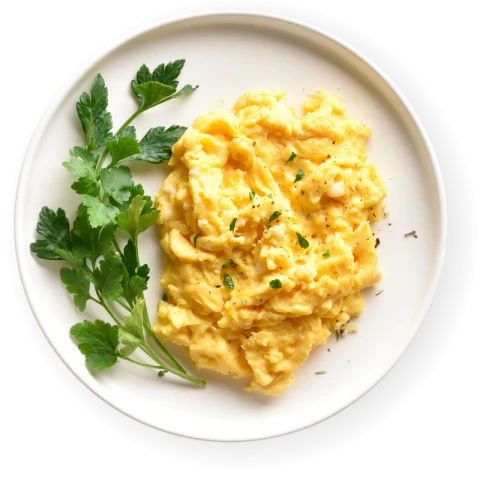 Fitness STARTER