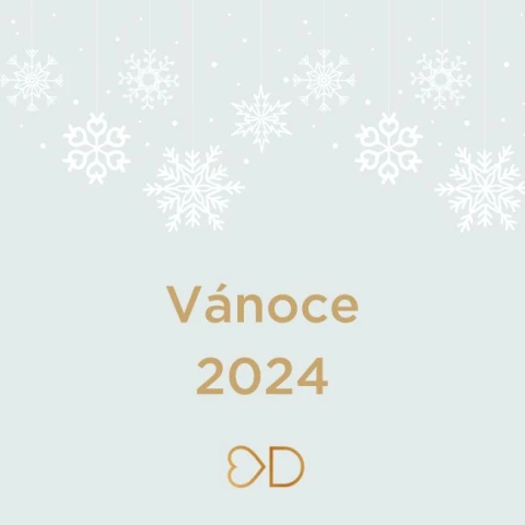 Vánoce 2024 a Nový rok