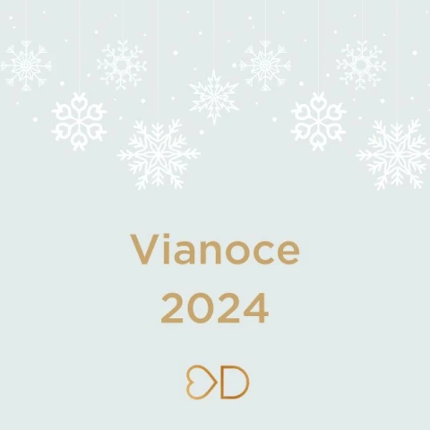 Vianoce 2024 a Nový rok